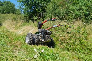 Ein Rasenmäher steht an einem Hang. Rechts neben ihm wächst hohes Gras.