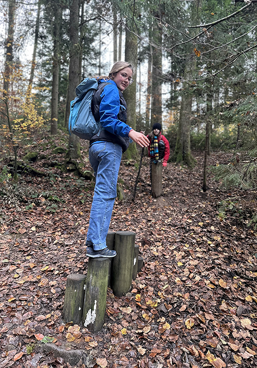 290 pixel image width