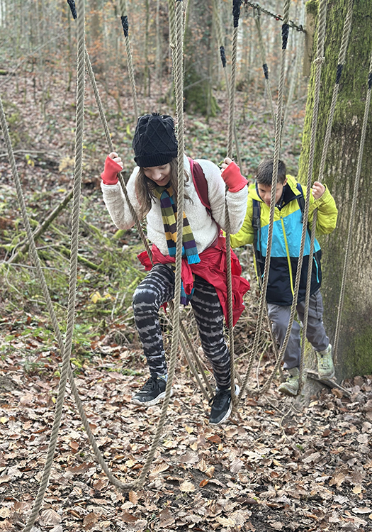 290 pixel image width