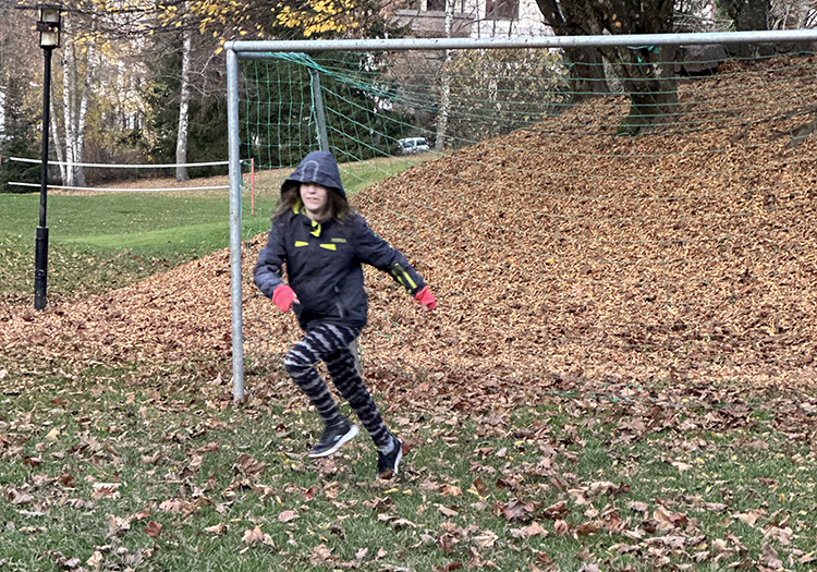 290 pixel image width