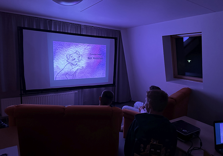 290 pixel image width