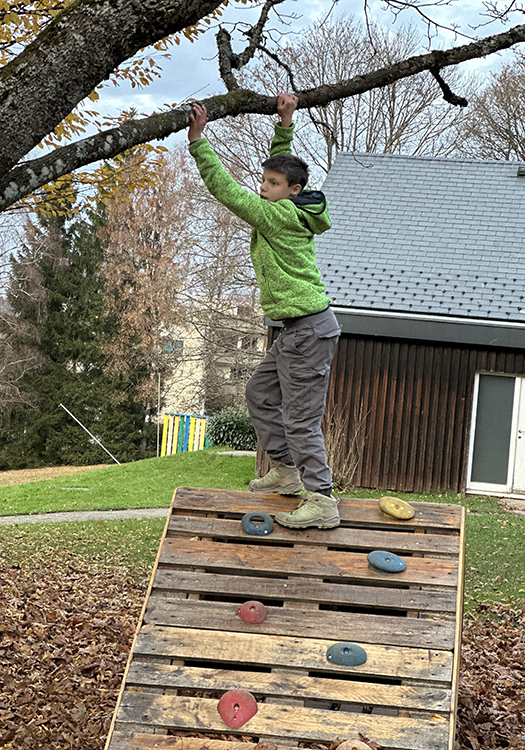 290 pixel image width