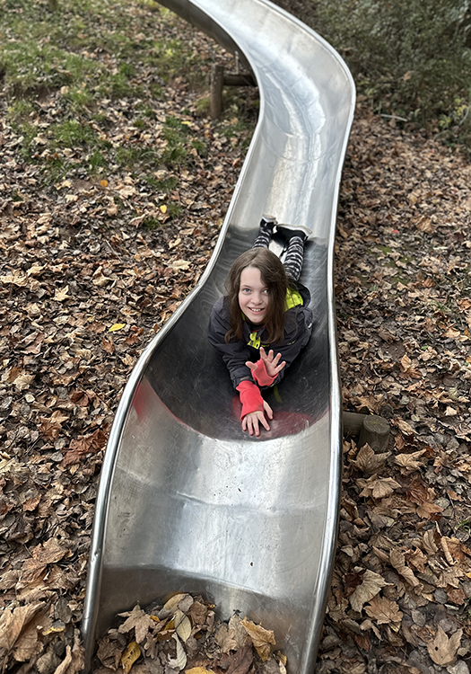 290 pixel image width