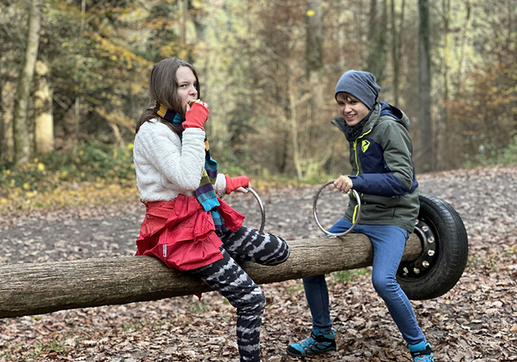 290 pixel image width