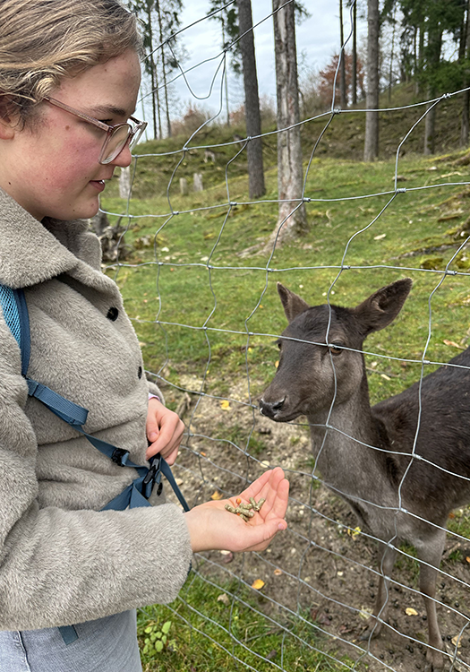 290 pixel image width