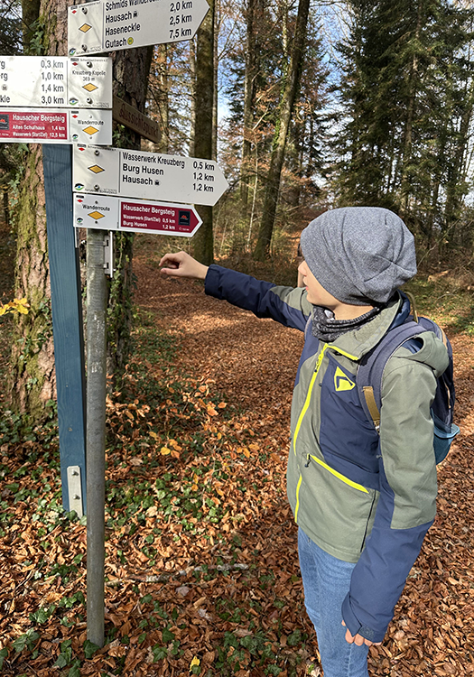 290 pixel image width