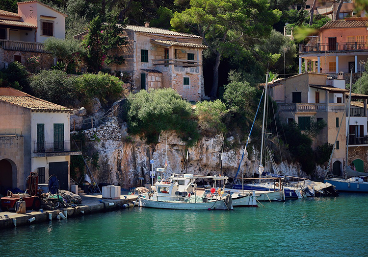 290 pixel image width