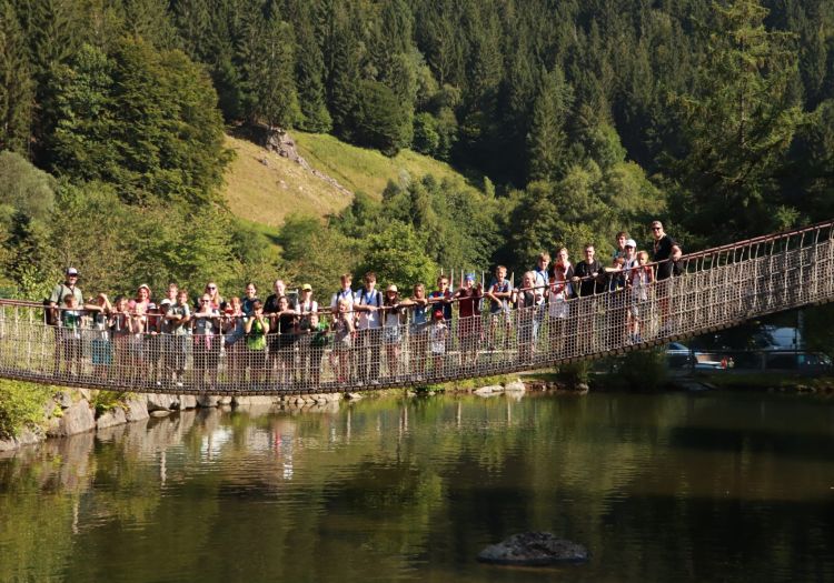 290 pixel image width