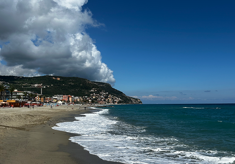 290 pixel image width