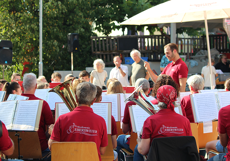 290 pixel image width