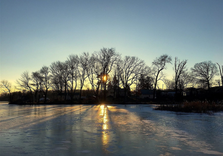 290 pixel image width