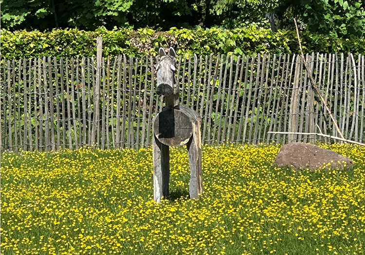 190 pixel image width