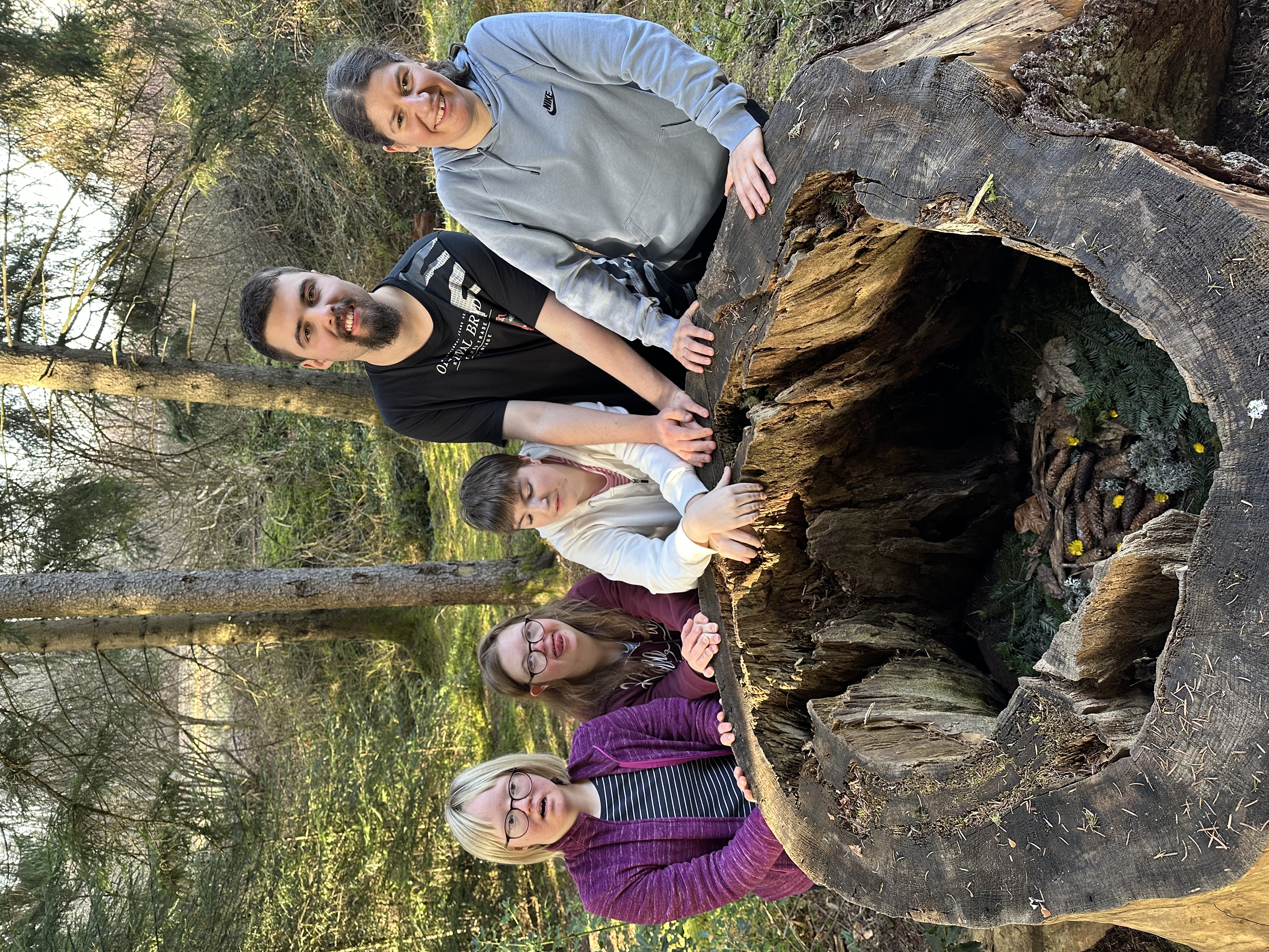 290 pixel image width