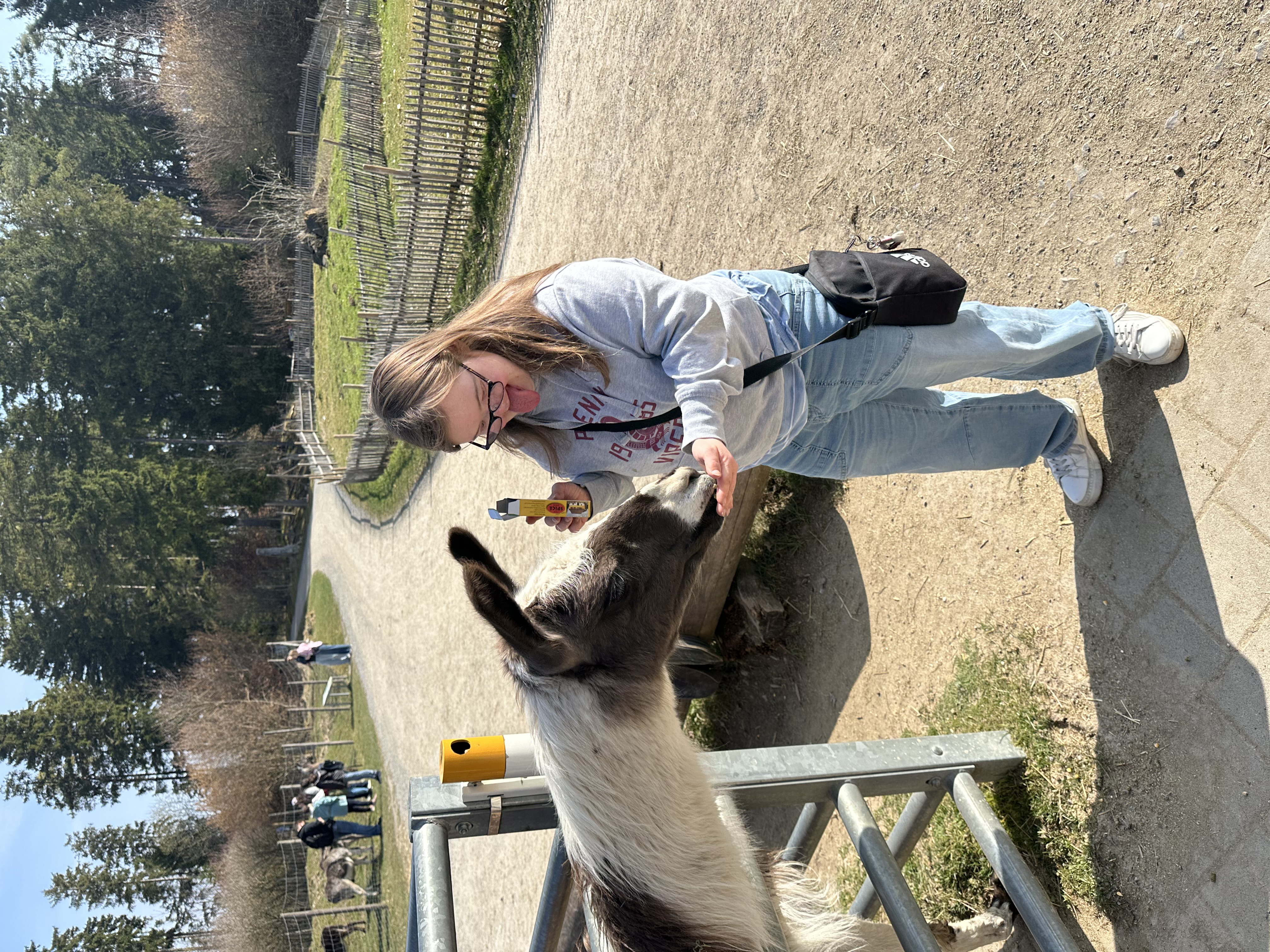 290 pixel image width