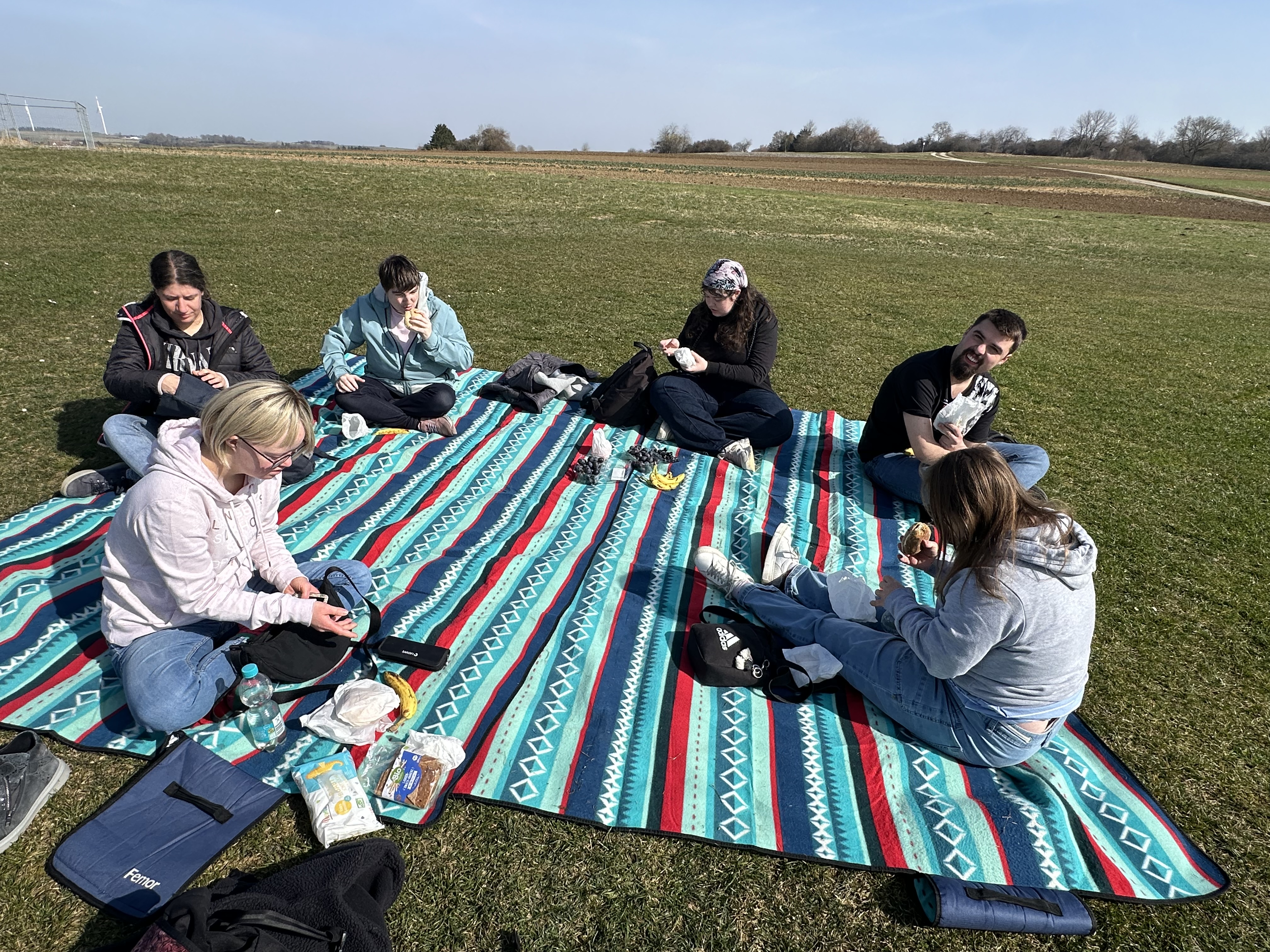 290 pixel image width