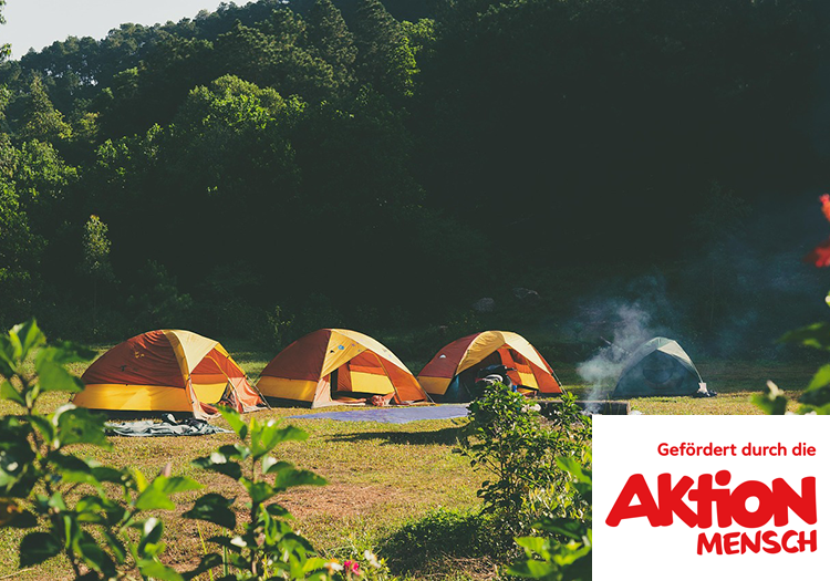 290 pixel image width