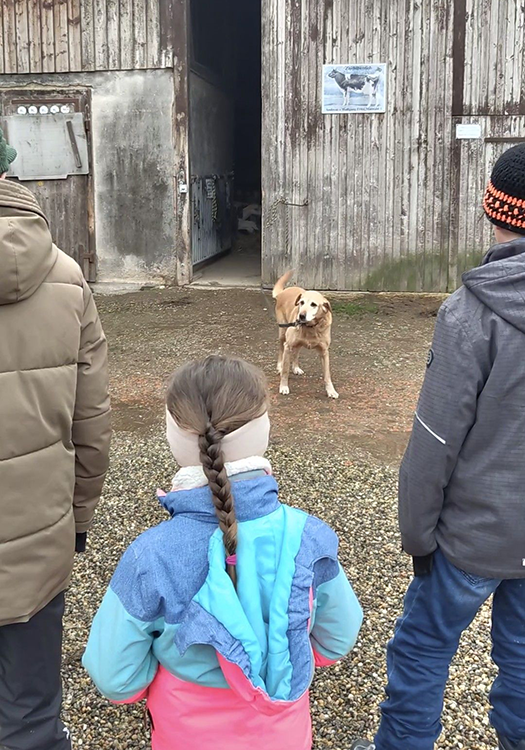 290 pixel image width