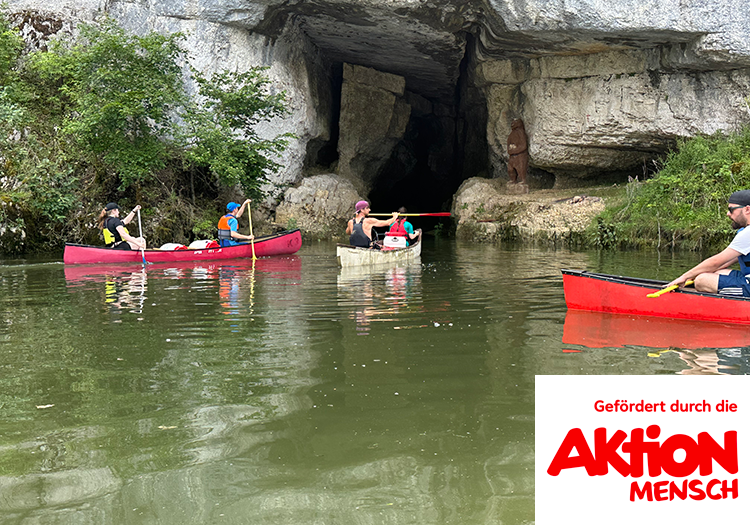 290 pixel image width