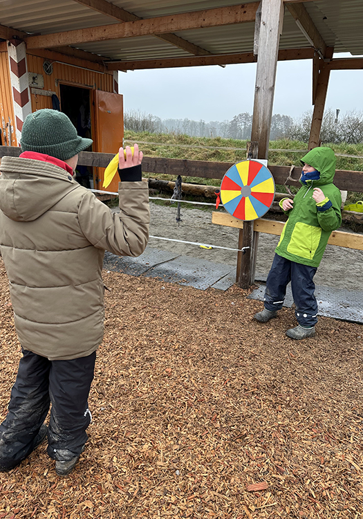 290 pixel image width