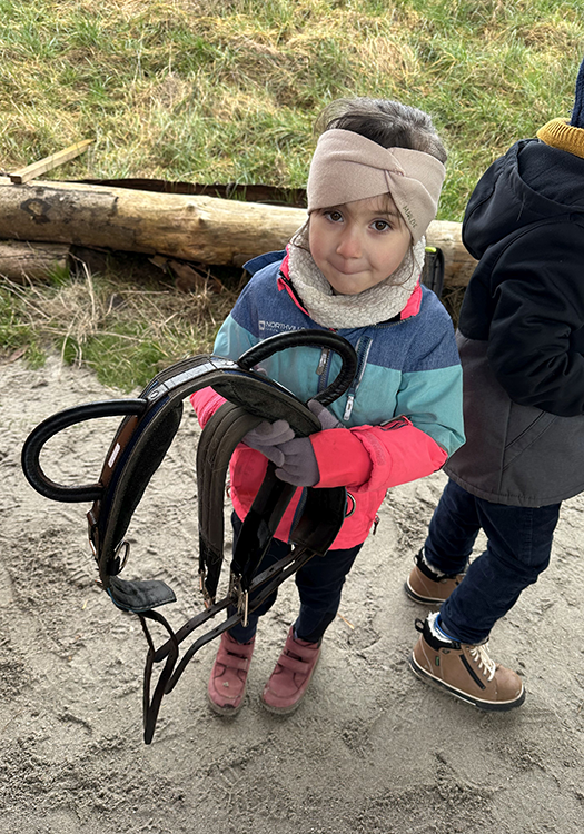 290 pixel image width