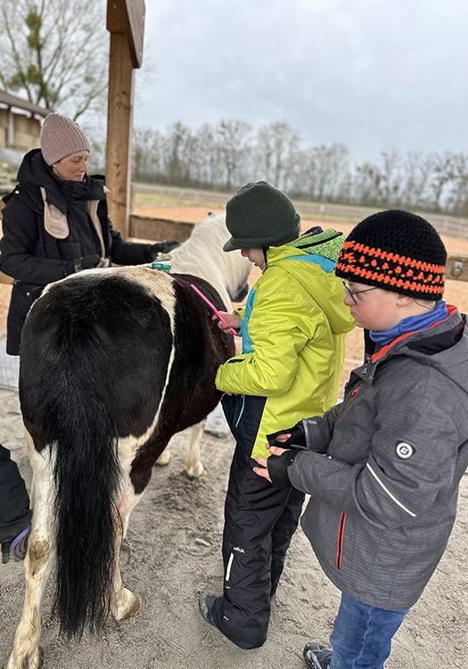 290 pixel image width