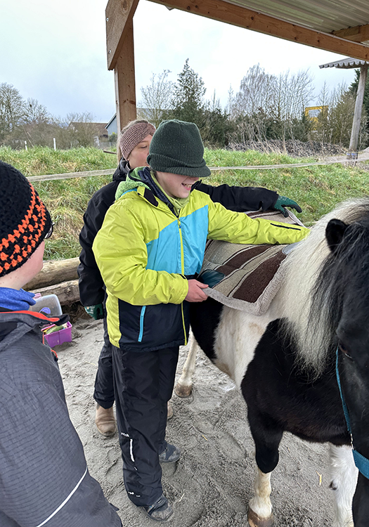 290 pixel image width