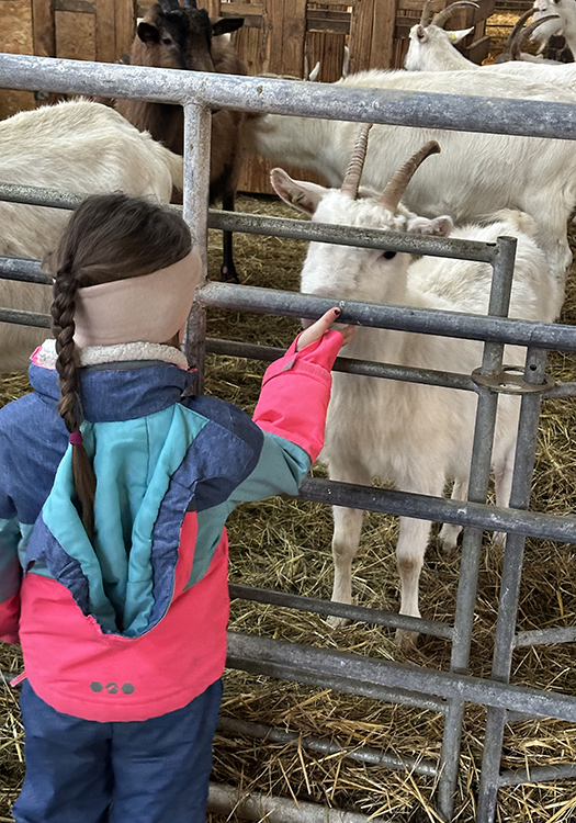 290 pixel image width