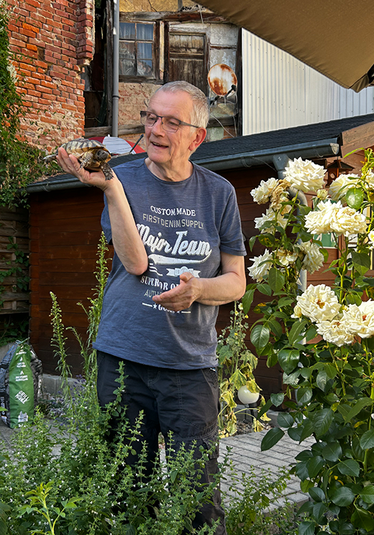 290 pixel image width