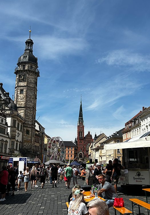 290 pixel image width