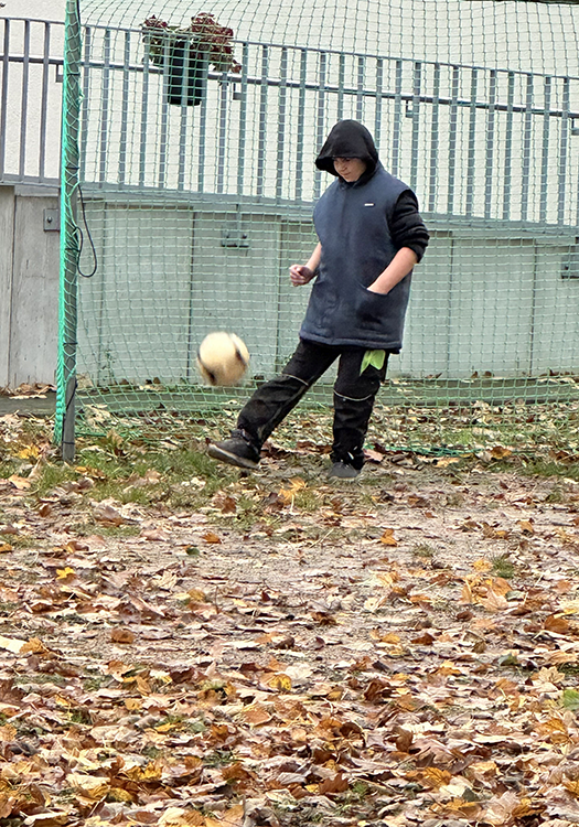 290 pixel image width