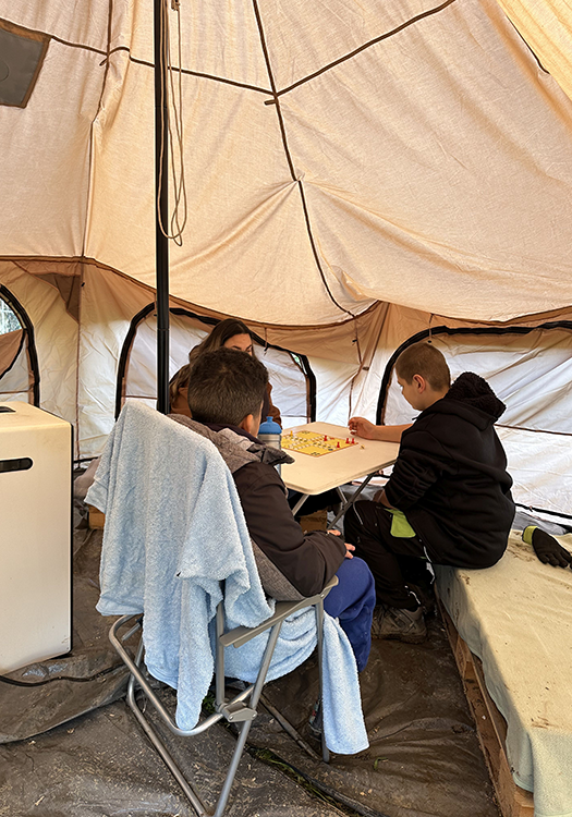 290 pixel image width