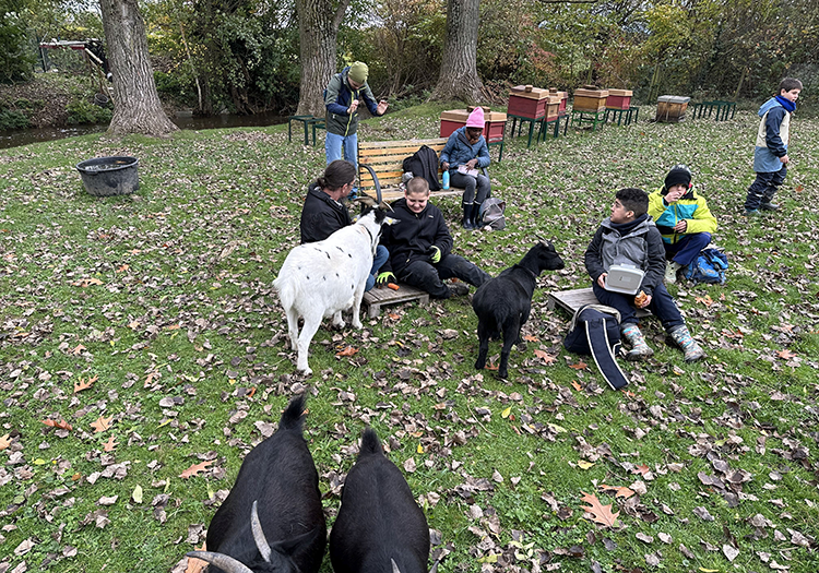 290 pixel image width