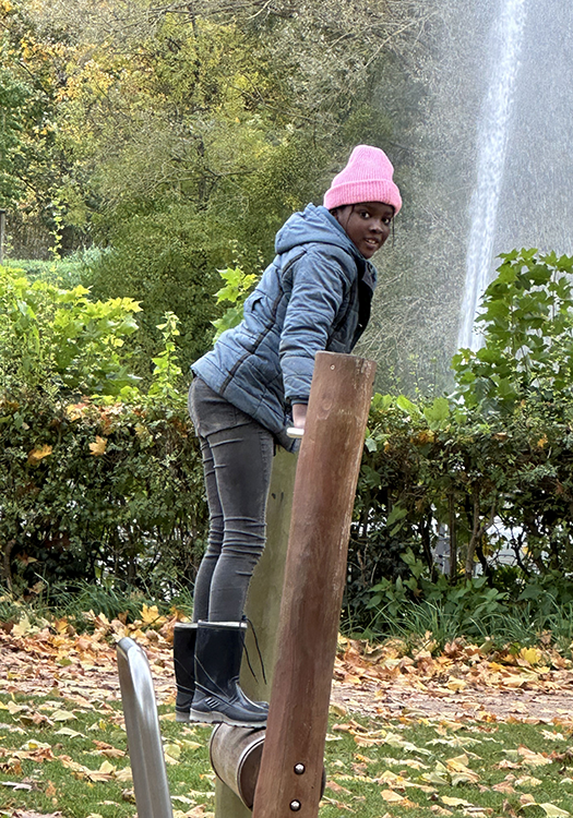 290 pixel image width