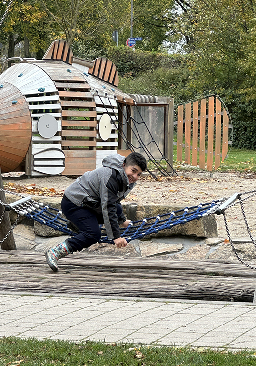 290 pixel image width