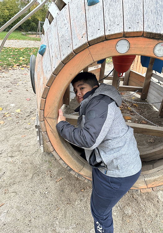 290 pixel image width