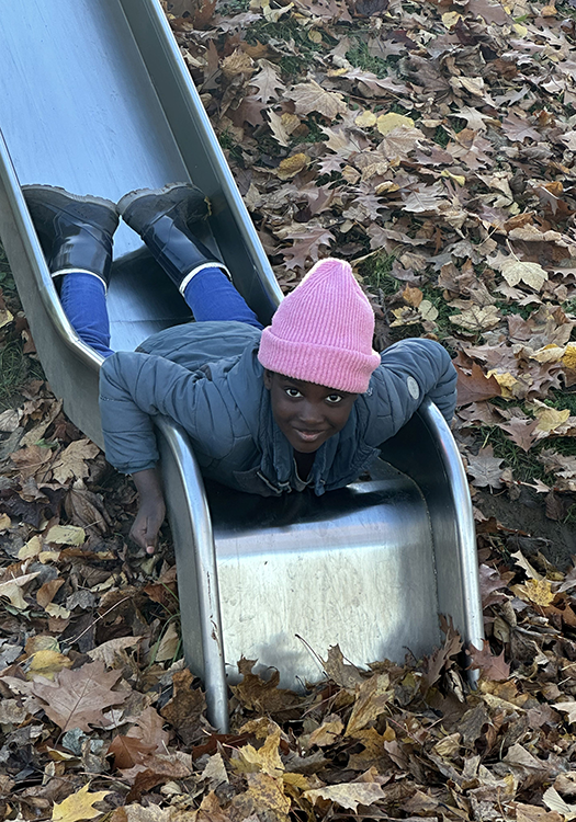 290 pixel image width