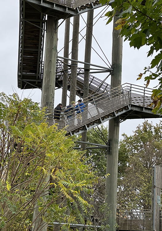 290 pixel image width