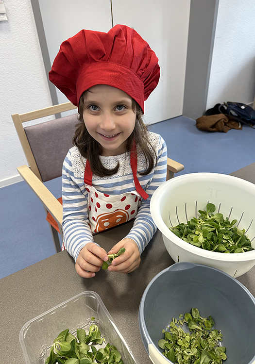 290 pixel image width