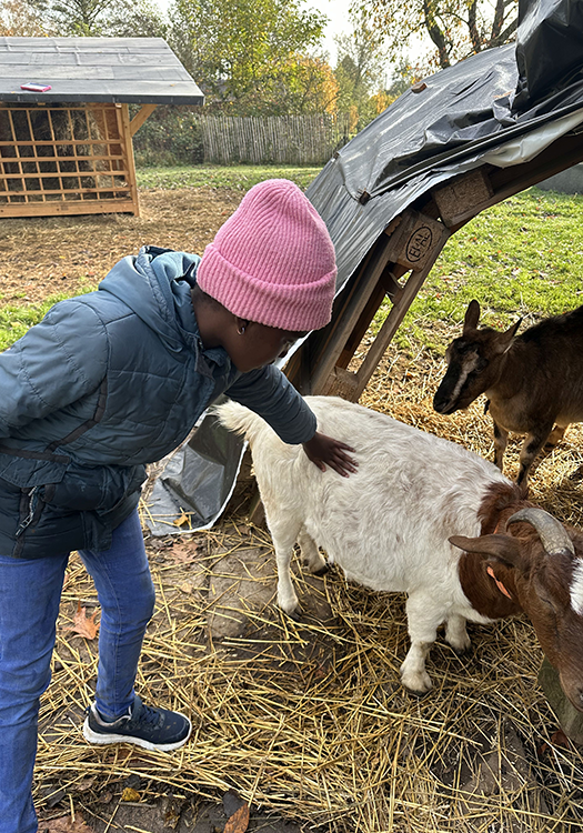 190 pixel image width