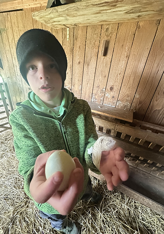 190 pixel image width