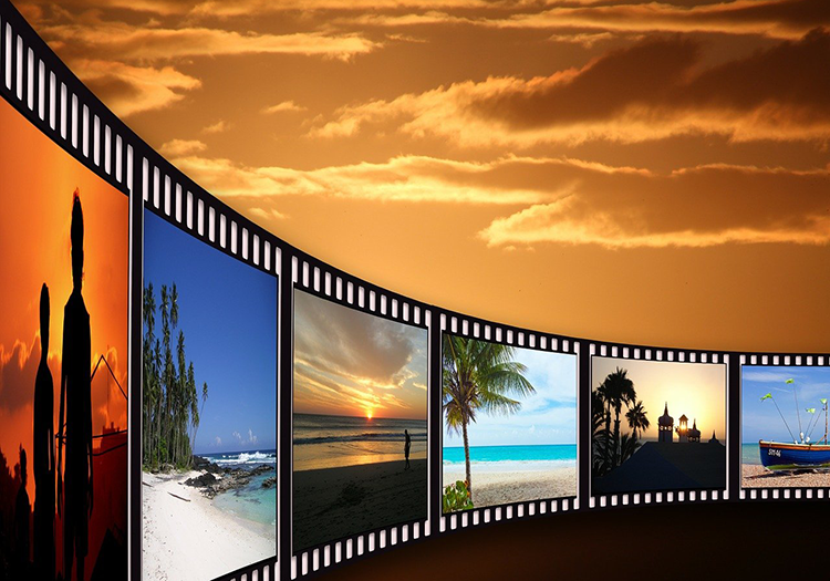 290 pixel image width