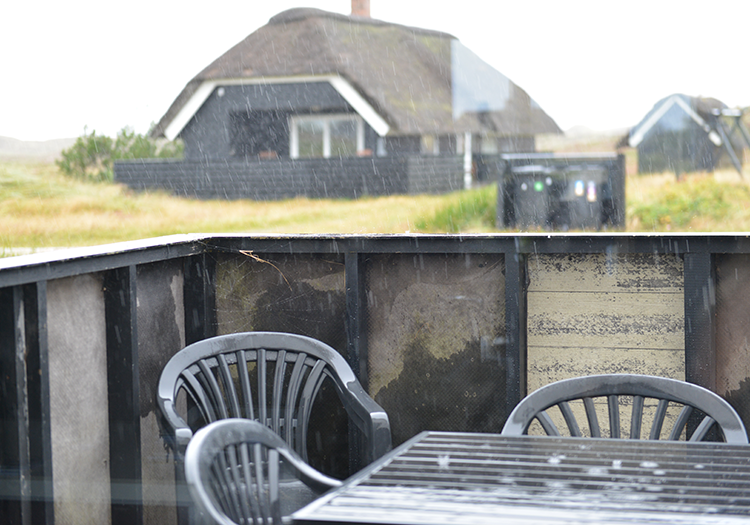 290 pixel image width