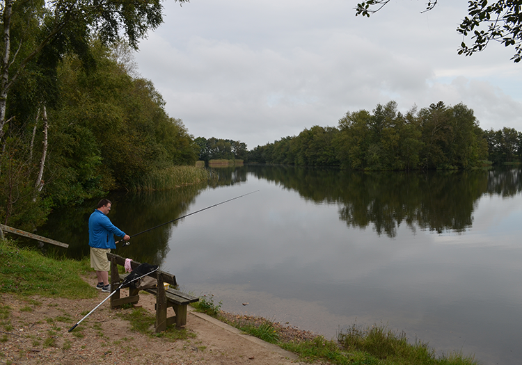 290 pixel image width