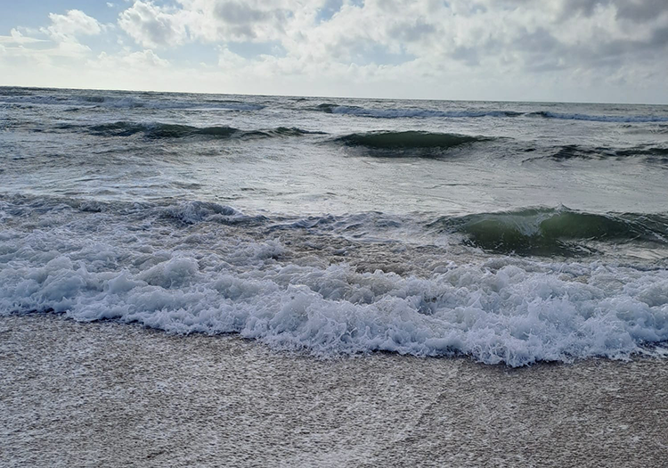 290 pixel image width