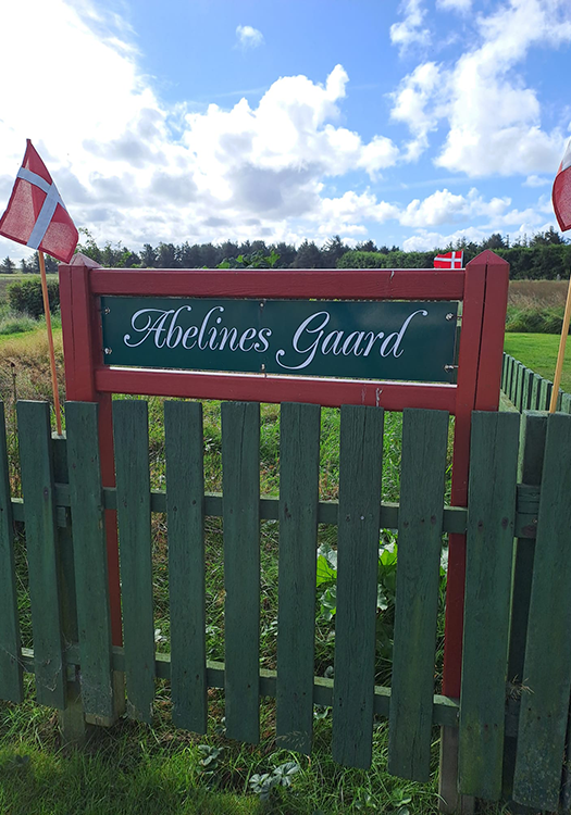 290 pixel image width