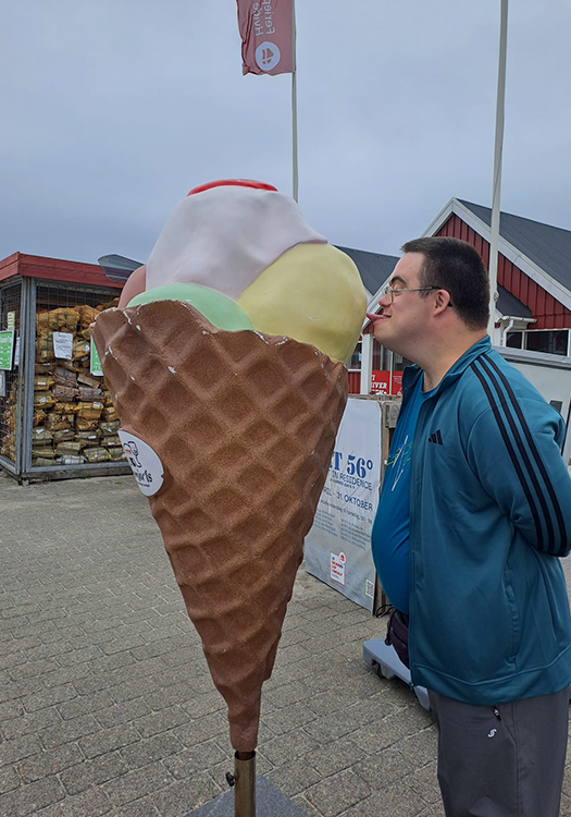 290 pixel image width