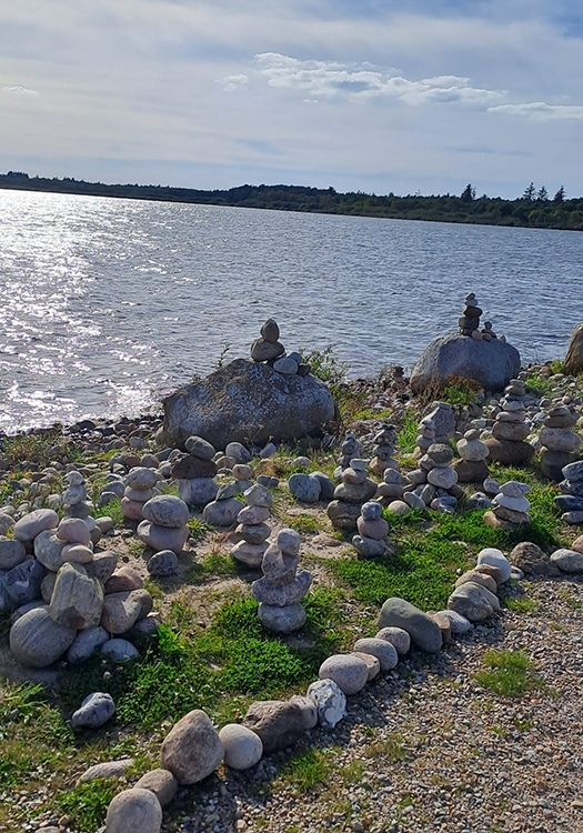 290 pixel image width