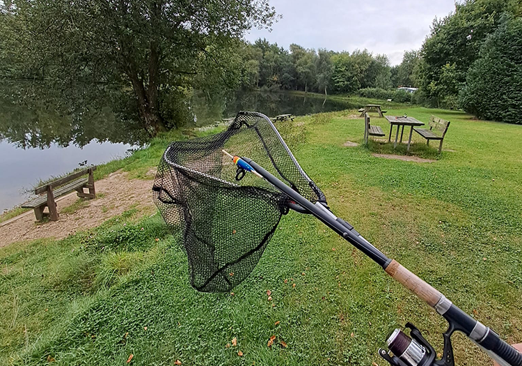 290 pixel image width