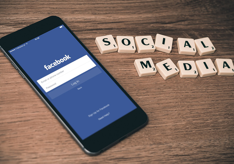 290 pixel image width