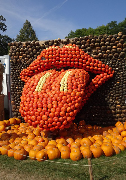 290 pixel image width